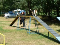 /album/agility-sanca/cvikov-056-jpg1/